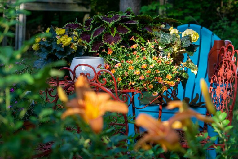Tips for Creating a Relaxing Home Garden Space